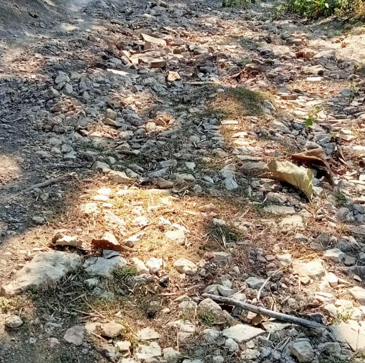 IMG-20230621-WA0053