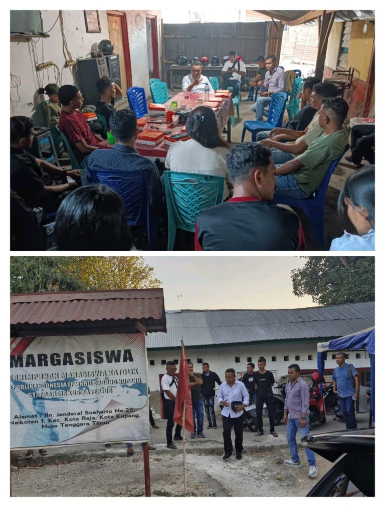 WhatsApp Image 2024-08-18 at 19.50.25