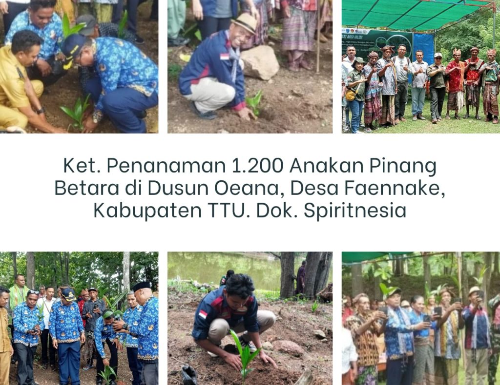 WhatsApp Image 2025-12-18 at 11.07.07 (1)